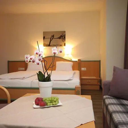 Haus Alexander Guest house