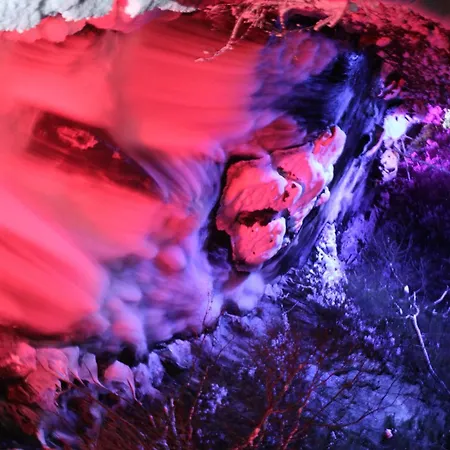 Guest house Haus Alexander 4*