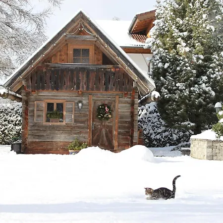 Haus Alexander 4* Schladming