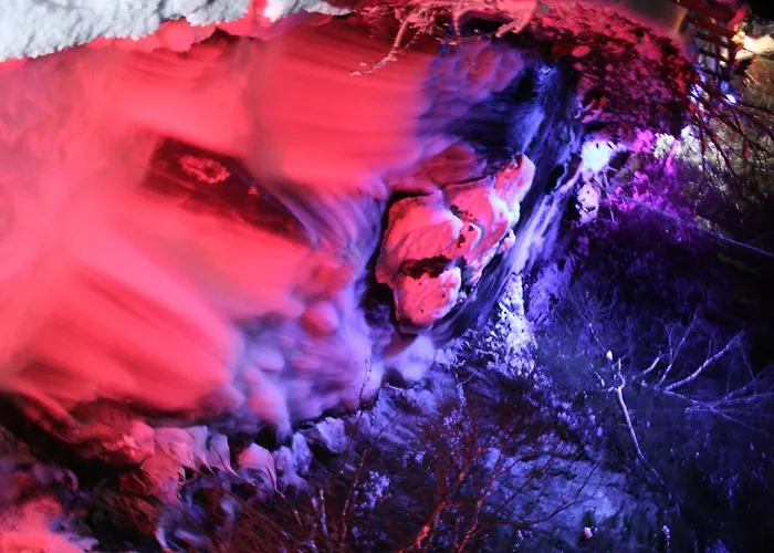 Pensión Haus Alexander 4*